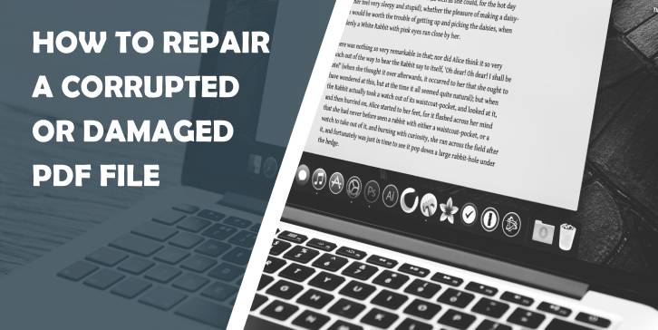 pdf file is corrupted uploading a PDF file to an online repair website