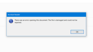 pdf fixer person examining a PDF error message on computer screen