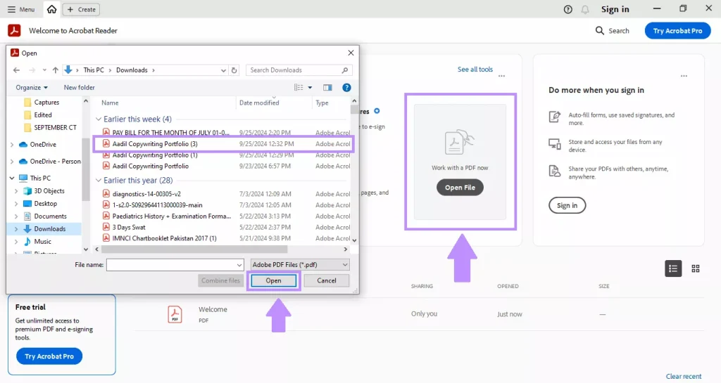 fix linearized pdf Adobe Acrobat Pro Optimized PDF dialog fast web view option