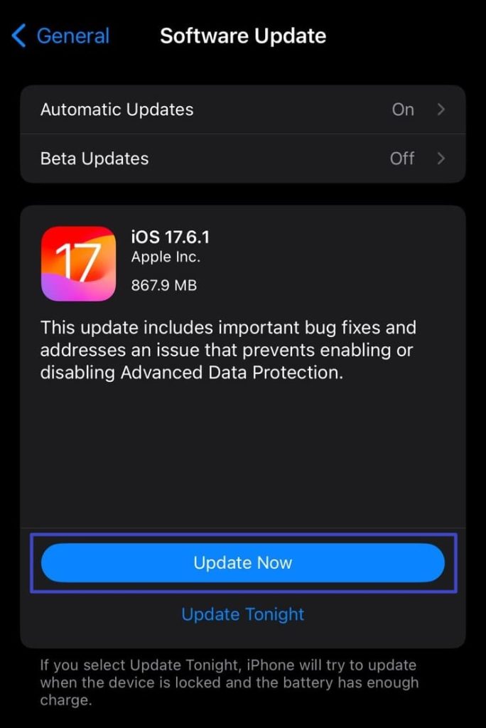 fix pdf not opening on iphone iPhone Settings Software Update screen