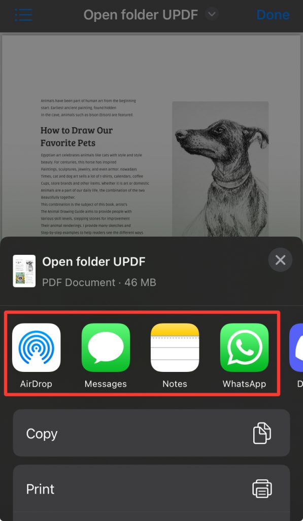fix pdf not opening on iphone iPhone showing blank PDF document error
