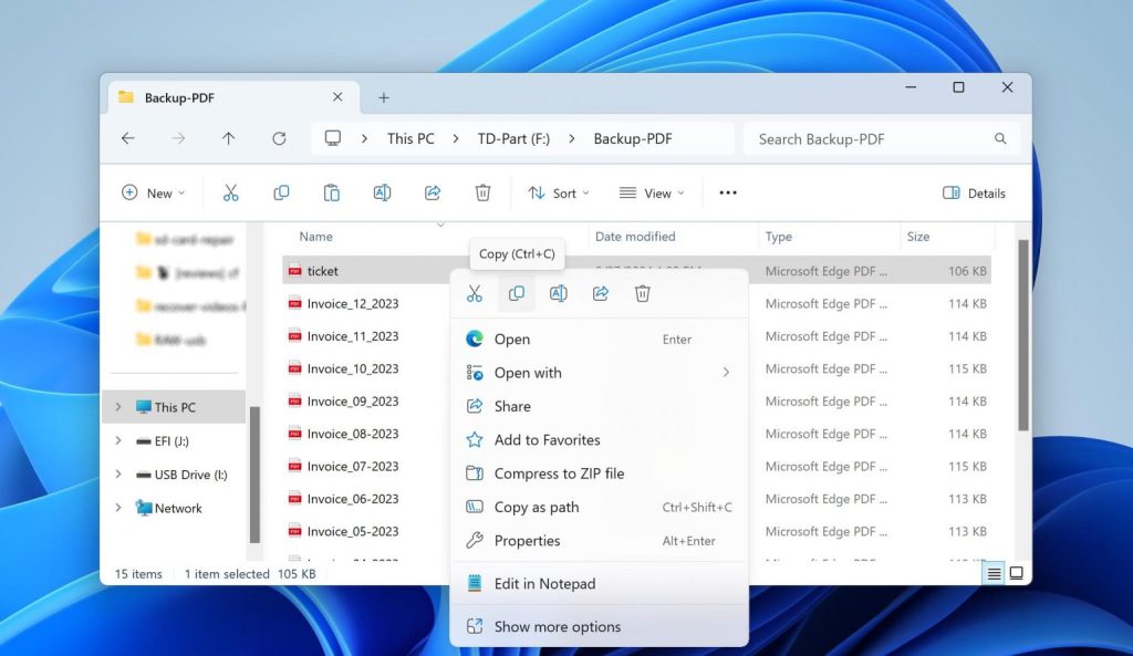 fix pdf objects person saving file on laptop with backup icon visible
