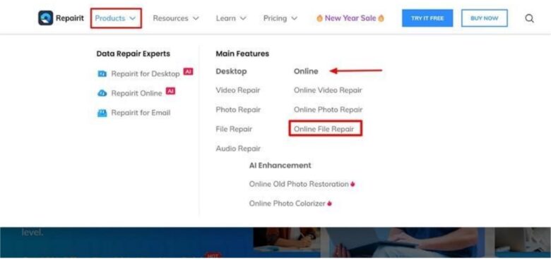 Online PDF repair tool showing repair progress bar with percentage