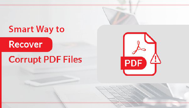 pdf recovery api sample corrupt PDF icon