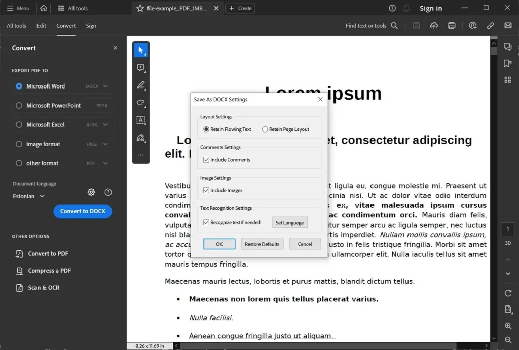 pdf symbols instead of text fix PDF to Word conversion dialog screenshot with settings