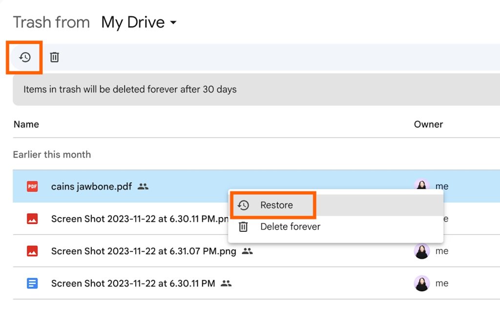 recover pdf after virus cloud backup dashboard with PDF files listed and a 'restore' button
