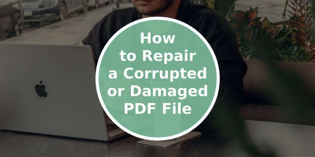 repair academic pdf Person opening a corrupted PDF on a laptop screen with error message