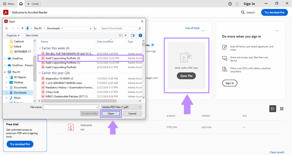 repair linearized pdf adobe acrobat verifying linearized pdf repair