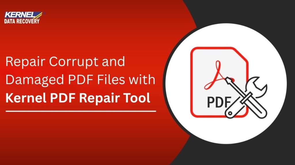 repair pdf error 109 Python code editor PDF repair script