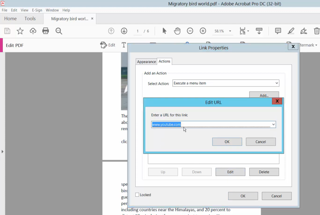 repair pdf links Adobe Acrobat Pro PDF link editing interface showing link properties
